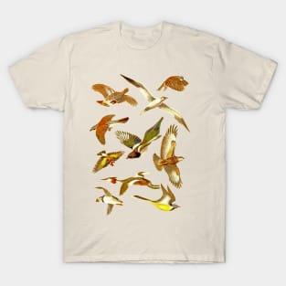 Vintage Flying Birds ver.3 T-Shirt